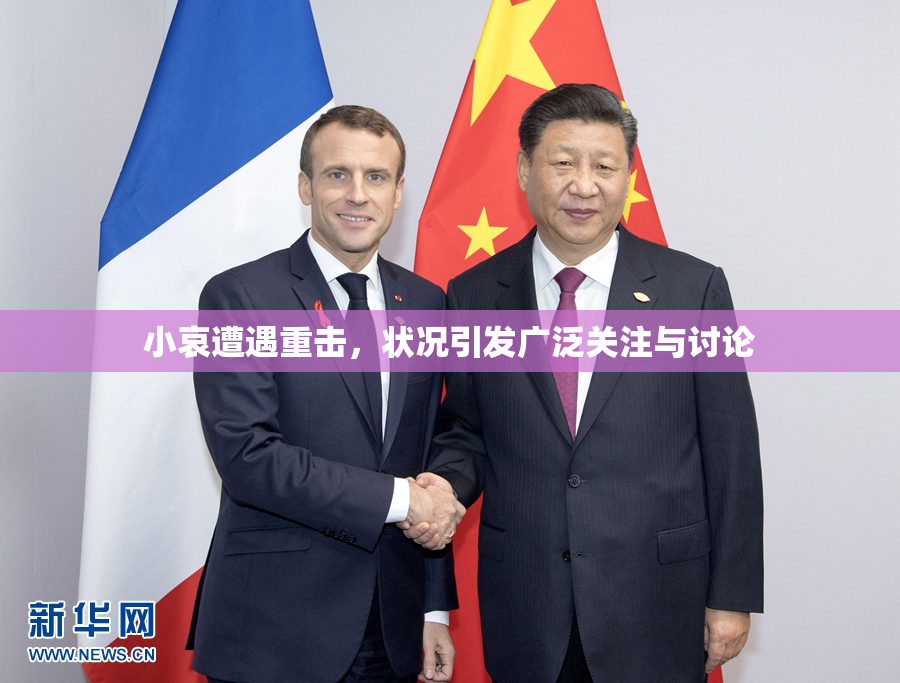 小哀遭遇重击，状况引发广泛关注与讨论