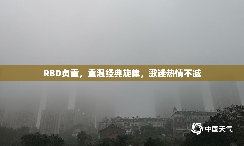 RBD贞重，重温经典旋律，歌迷热情不减