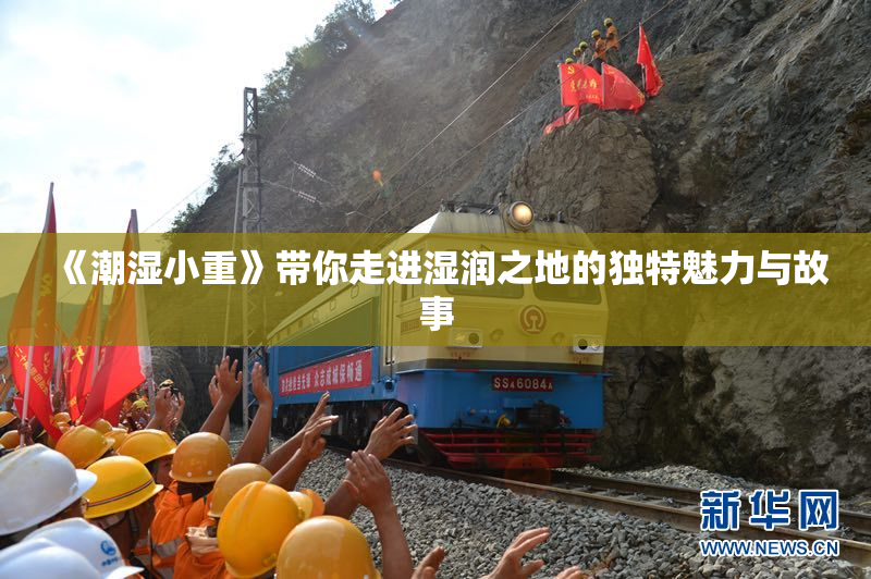 《潮湿小重》带你走进湿润之地的独特魅力与故事