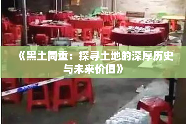 《黑土同重：探寻土地的深厚历史与未来价值》