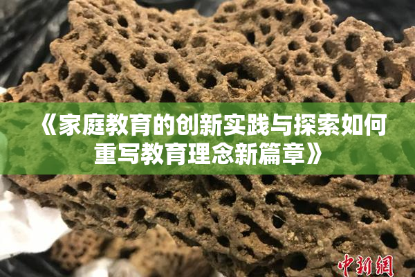 《家庭教育的创新实践与探索如何重写教育理念新篇章》