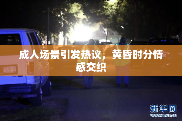 成人场景引发热议，黄昏时分情感交织