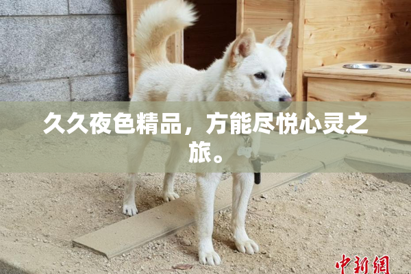 久久夜色精品，方能尽悦心灵之旅。