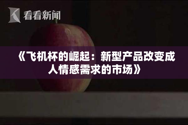 《飞机杯的崛起：新型产品改变成人情感需求的市场》
