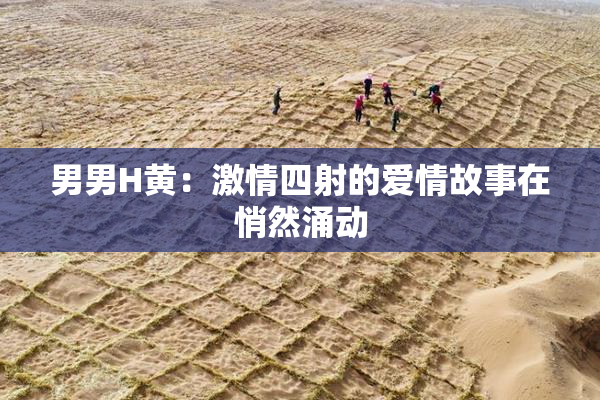 男男H黄：激情四射的爱情故事在悄然涌动
