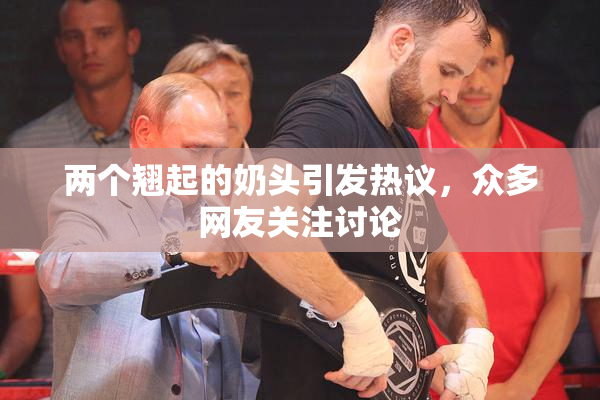 两个翘起的奶头引发热议，众多网友关注讨论