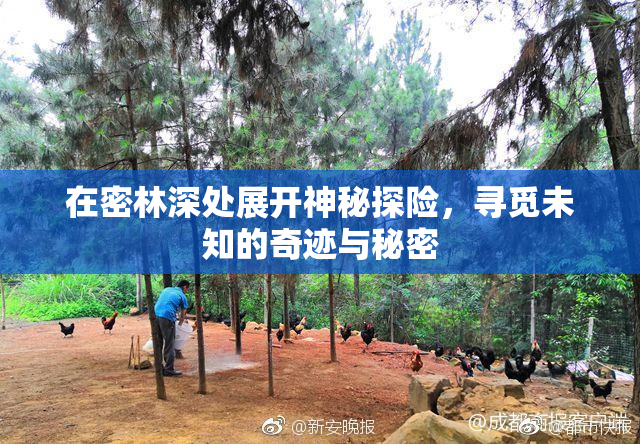 在密林深处展开神秘探险，寻觅未知的奇迹与秘密