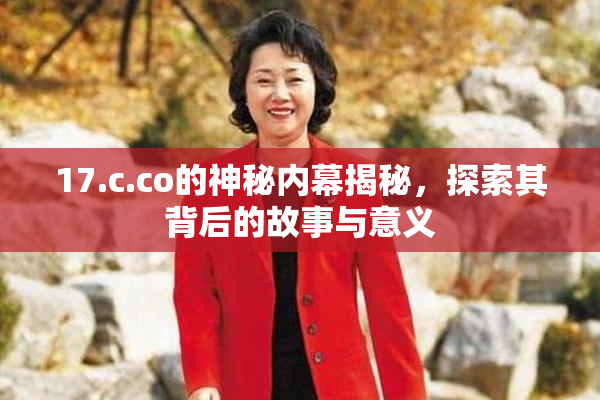 17.c.co的神秘内幕揭秘，探索其背后的故事与意义
