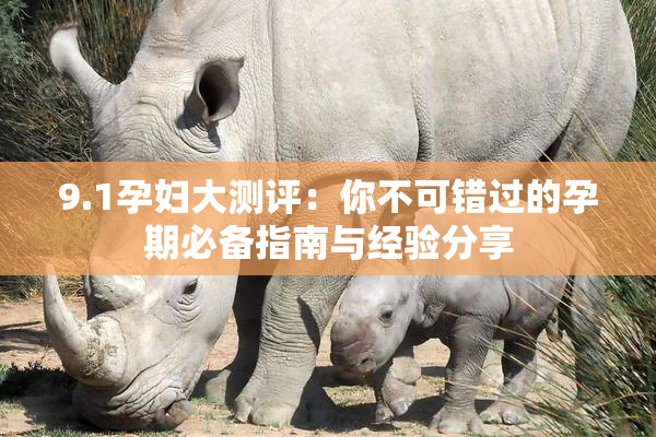 9.1孕妇大测评：你不可错过的孕期必备指南与经验分享