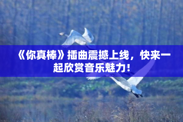 《你真棒》插曲震撼上线，快来一起欣赏音乐魅力！