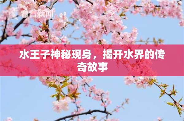 水王子神秘现身，揭开水界的传奇故事