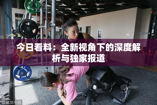 今日看料：全新视角下的深度解析与独家报道