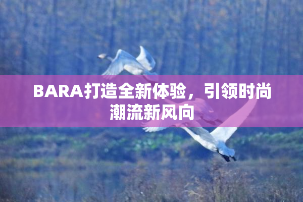 BARA打造全新体验，引领时尚潮流新风向