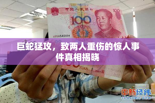 巨蛇猛攻，致两人重伤的惊人事件真相揭晓