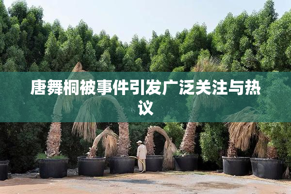 唐舞桐被事件引发广泛关注与热议