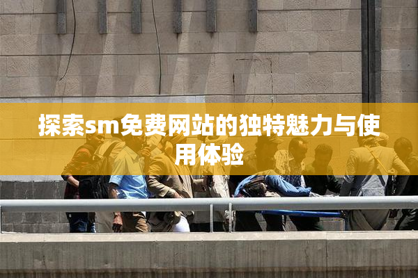 探索sm免费网站的独特魅力与使用体验