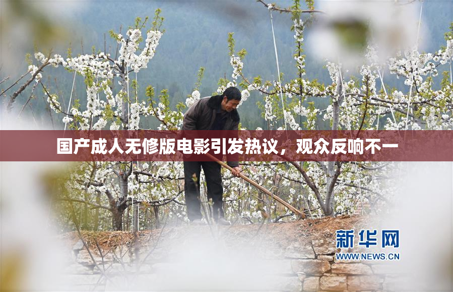 国产成人无修版电影引发热议，观众反响不一