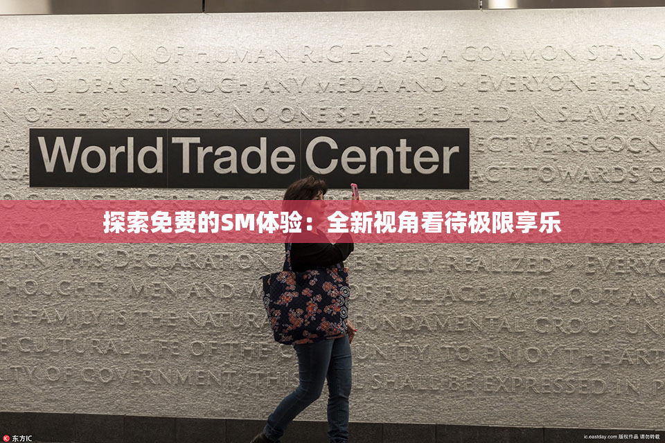 探索免费的SM体验：全新视角看待极限享乐