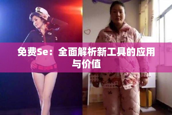 免费Se：全面解析新工具的应用与价值