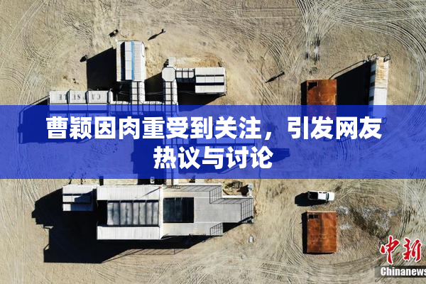 曹颖因肉重受到关注，引发网友热议与讨论