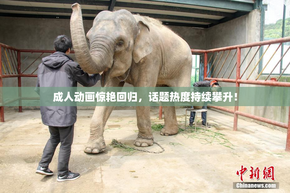 成人动画惊艳回归，话题热度持续攀升！