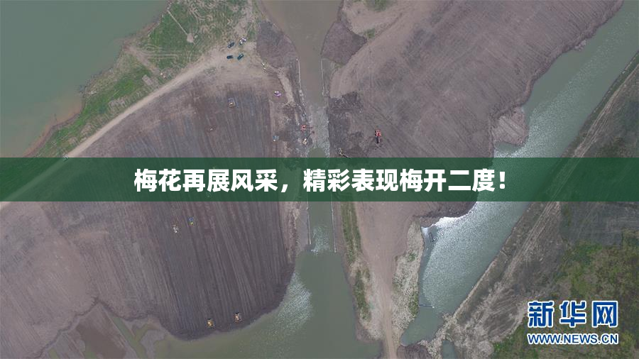 梅花再展风采，精彩表现梅开二度！