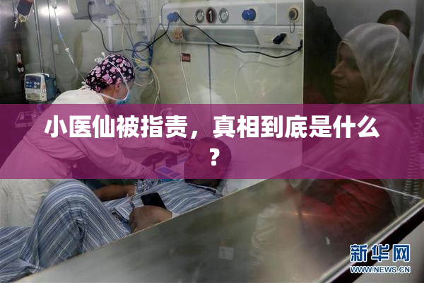 小医仙被指责，真相到底是什么？