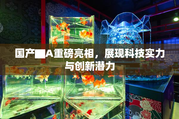 国产▇A重磅亮相，展现科技实力与创新潜力