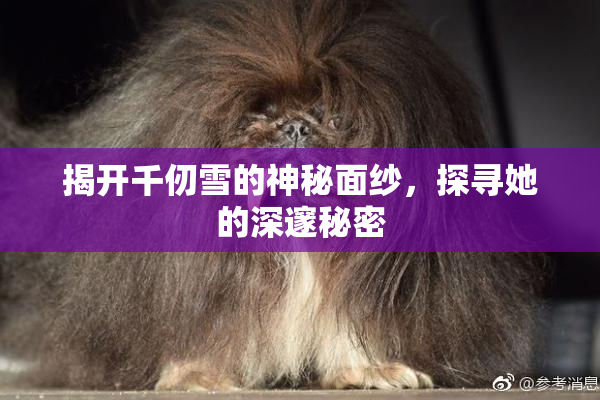 揭开千仞雪的神秘面纱，探寻她的深邃秘密
