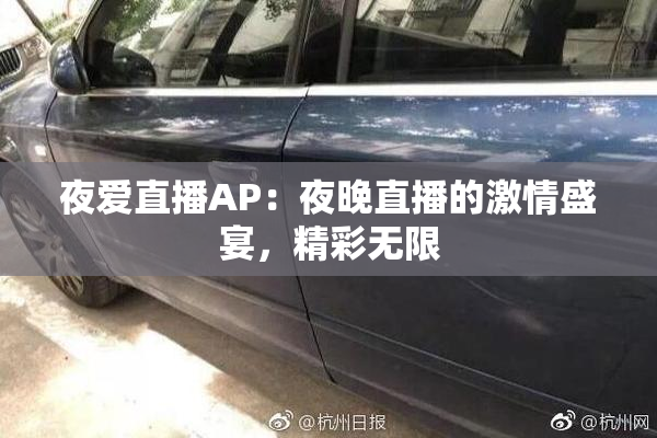 夜爱直播AP：夜晚直播的激情盛宴，精彩无限