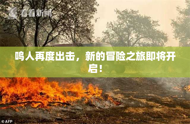 鸣人再度出击，新的冒险之旅即将开启！