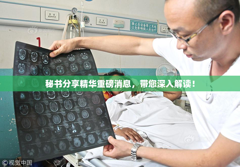 秘书分享精华重磅消息，带您深入解读！
