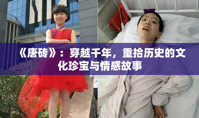 《唐砖》：穿越千年，重拾历史的文化珍宝与情感故事