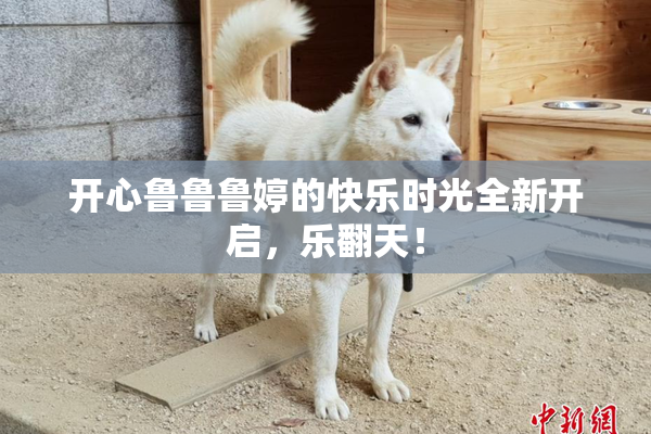开心鲁鲁鲁婷的快乐时光全新开启，乐翻天！