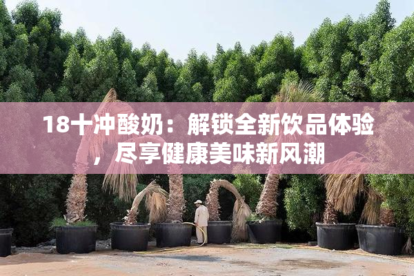 18十冲酸奶：解锁全新饮品体验，尽享健康美味新风潮