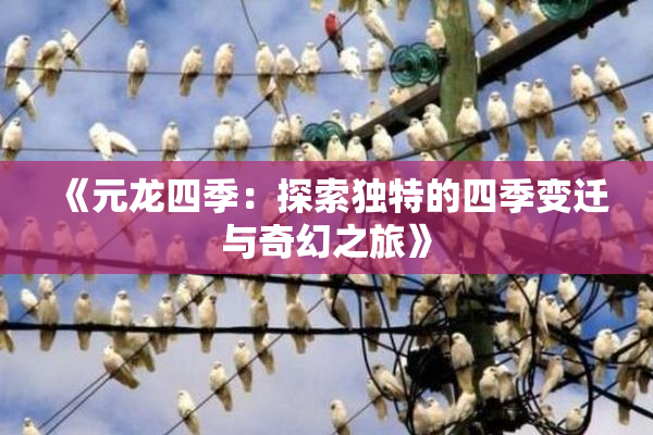 《元龙四季：探索独特的四季变迁与奇幻之旅》
