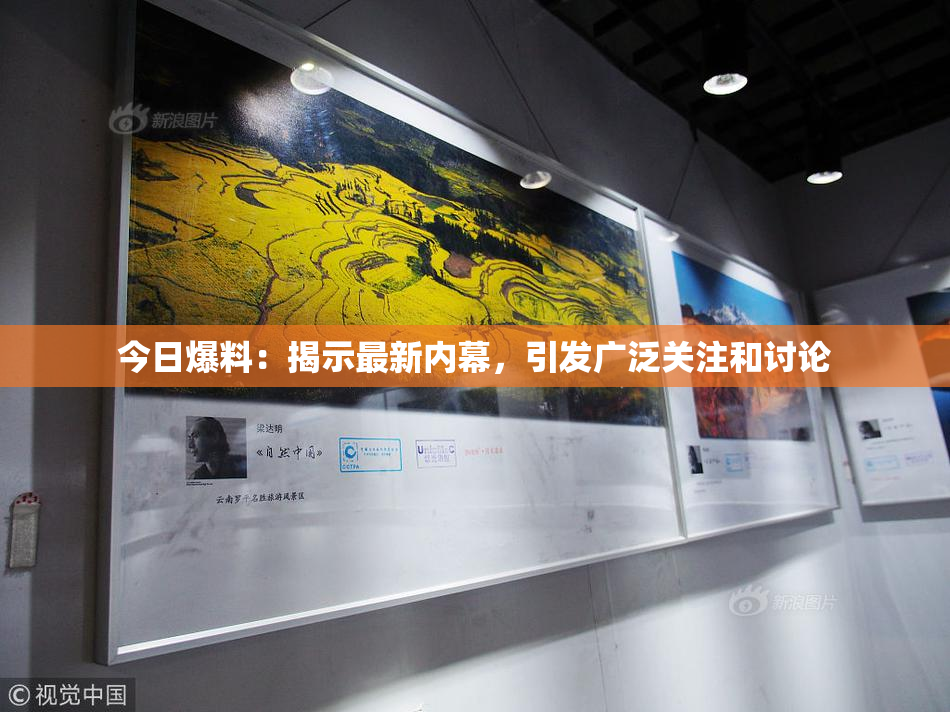 今日爆料：揭示最新内幕，引发广泛关注和讨论
