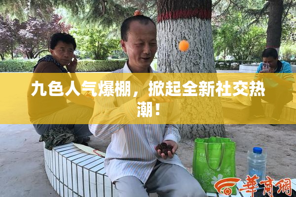 九色人气爆棚，掀起全新社交热潮！