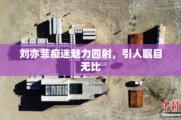 刘亦菲痴迷魅力四射，引人瞩目无比