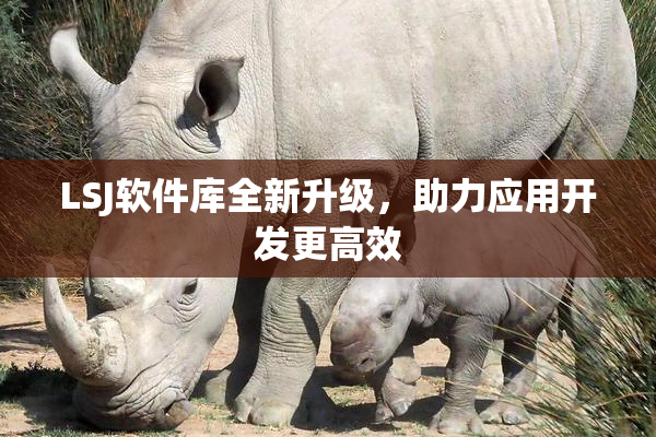 LSJ软件库全新升级，助力应用开发更高效