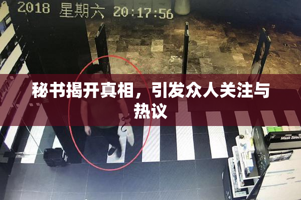 秘书揭开真相，引发众人关注与热议