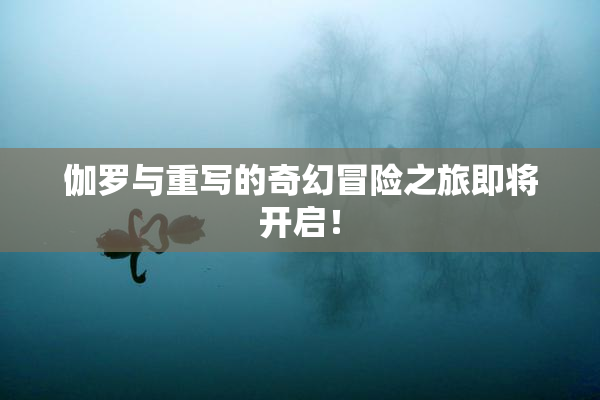 伽罗与重写的奇幻冒险之旅即将开启！