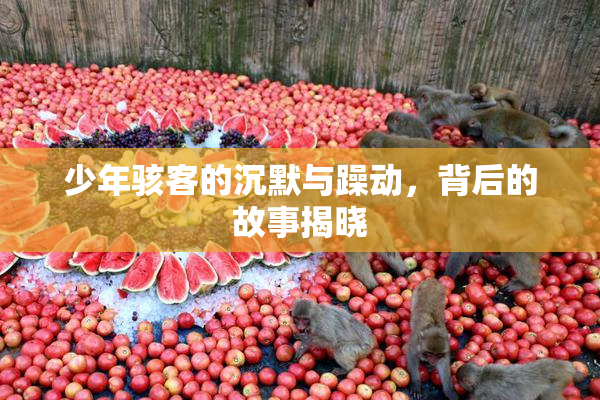 少年骇客的沉默与躁动，背后的故事揭晓