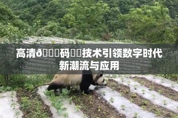 高清🈚码❌‌技术引领数字时代新潮流与应用
