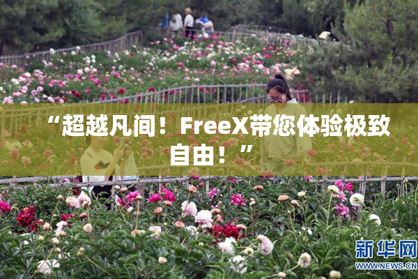 “超越凡间！FreeX带您体验极致自由！”