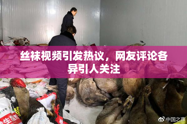 丝袜视频引发热议，网友评论各异引人关注