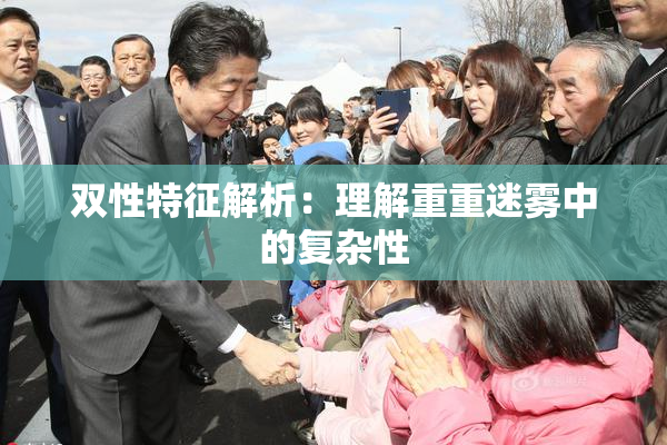 双性特征解析：理解重重迷雾中的复杂性