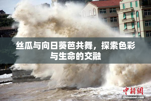 丝瓜与向日葵芭共舞，探索色彩与生命的交融