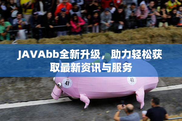 JAVAbb全新升级，助力轻松获取最新资讯与服务