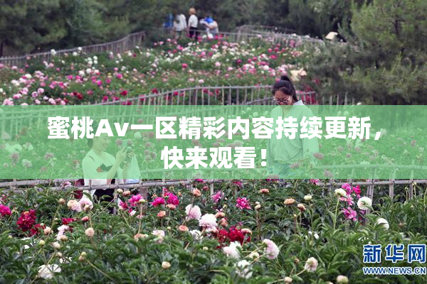 蜜桃Av一区精彩内容持续更新，快来观看！